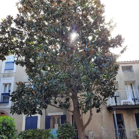 Appartement de charme sur le Port de Marseillan Extérieur photo
