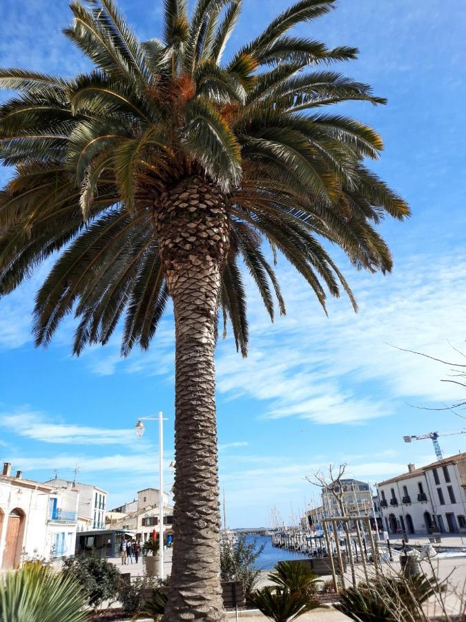 De Charme Sur Le Port De * Marseillan (Herault)